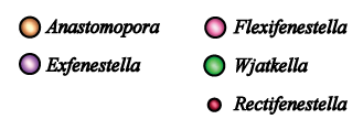 Anastomopora, Exfenestella, Flexifenestella, Wjakella