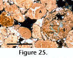 fig25a