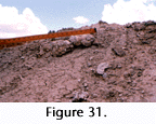 fig31a