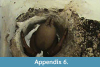 s appendix 6