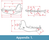 s appendix1