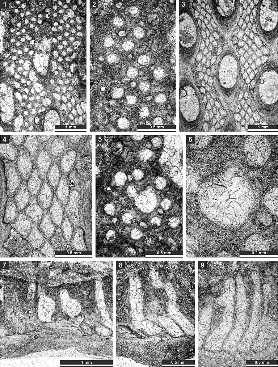 figure22