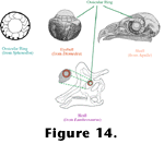 Figure 14 link.