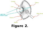 Figure 2 link