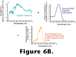 Figure 6B link.