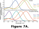 Figure 7A link.