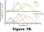 Figure 7B link.