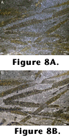 Figure 8A-8B.
