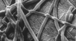 EPOFIX and Vacuum Figure 3.