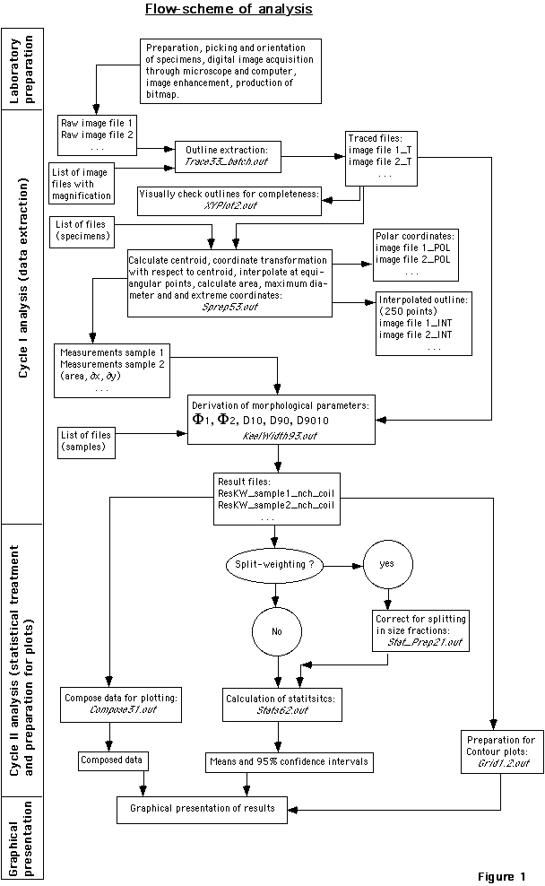 Flow-scheme of analysis