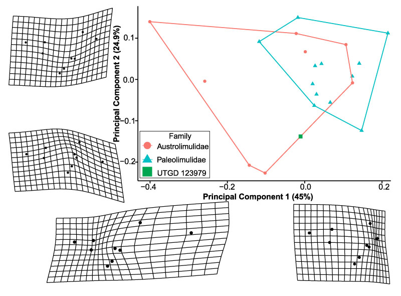 figure4a