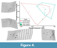 s figure4