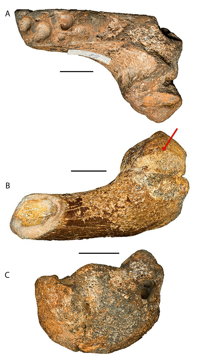 figure6