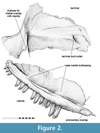 s figure2