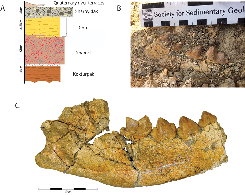 figure2