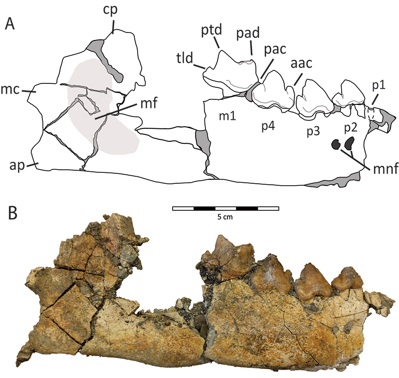 figure3