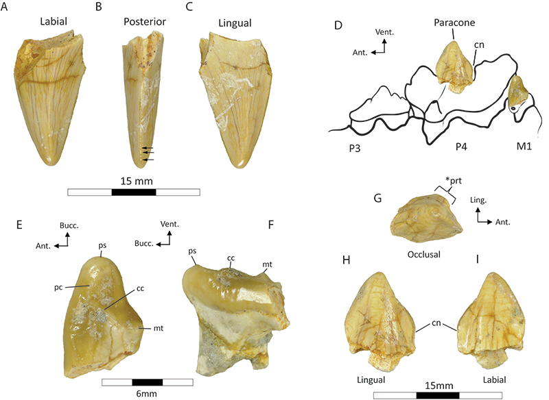 figure6