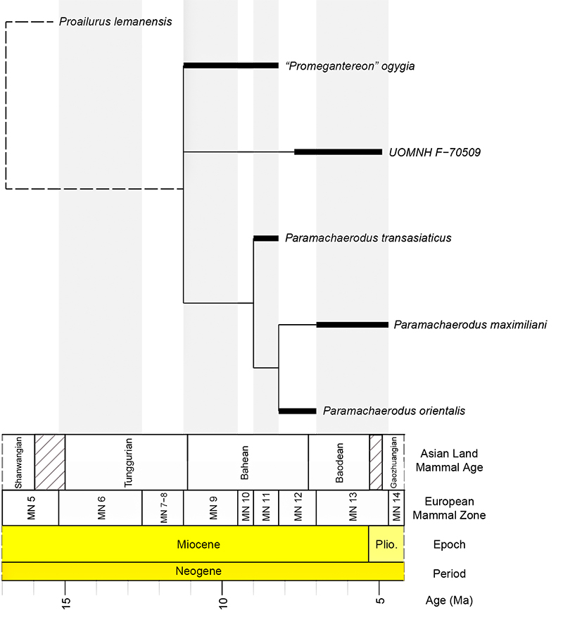 figure7