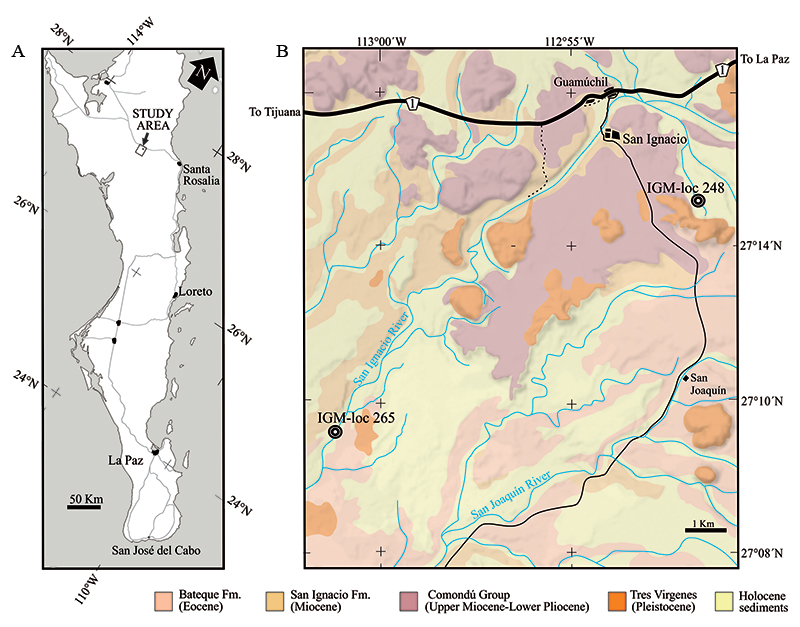 figure1