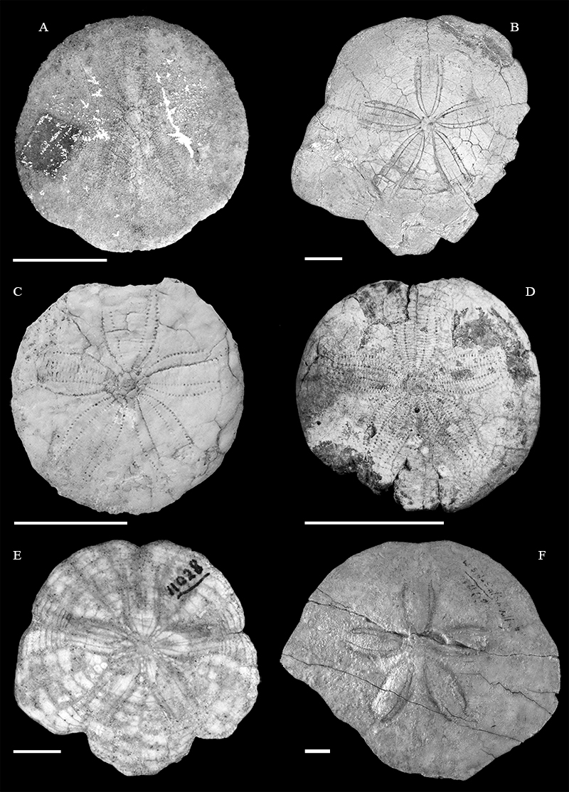 figure3