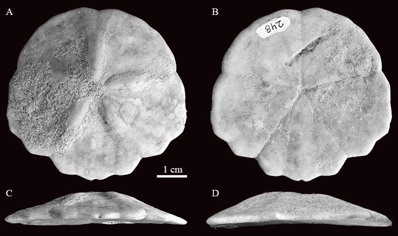 figure4