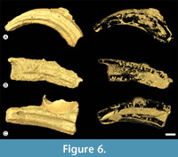 s figure6