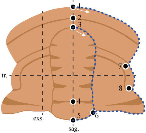 figure2