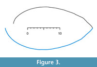 s figure3