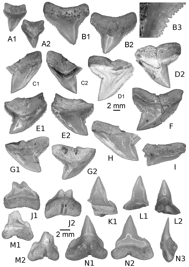 figure3