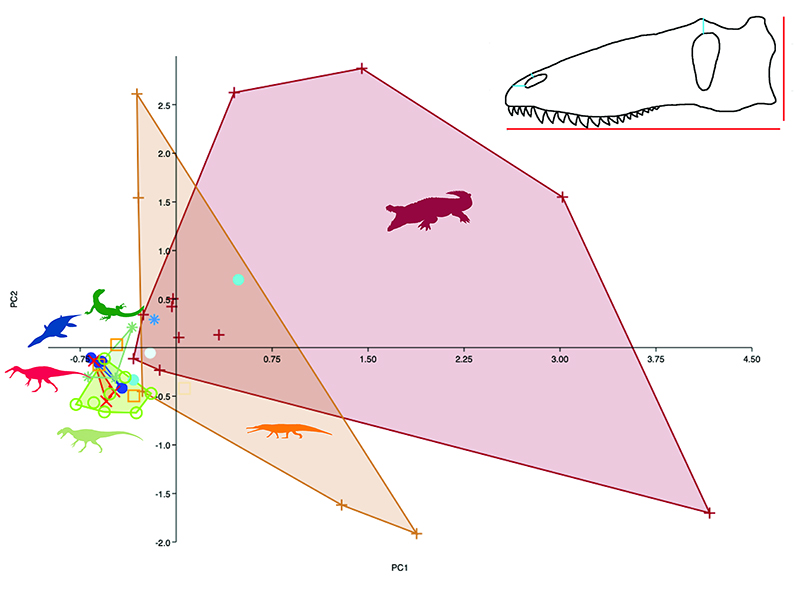 figure2