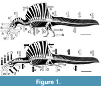 s figure1