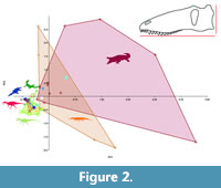 s figure2