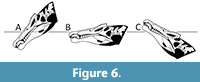 s figure6