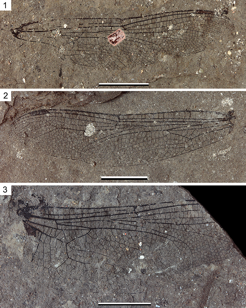 figure2