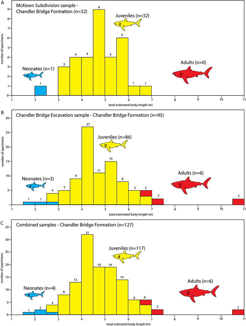 figure6