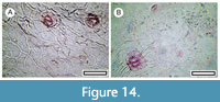 s figure14