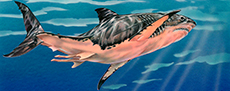Artistic reconstruction of a Miocene megalodon swimming in the ocean.
