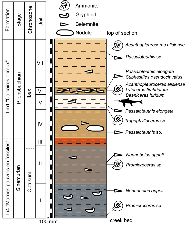 figure3