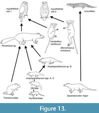 s figure13