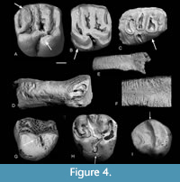 s figure4