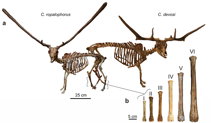 figure2