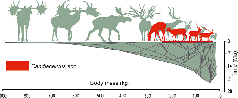 figure4