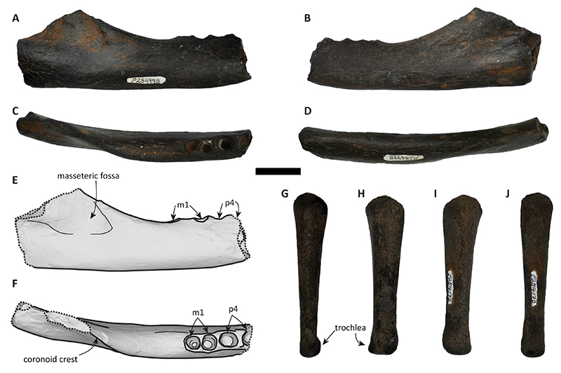 figure2