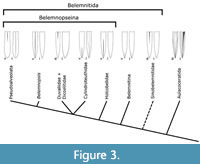 s figure3