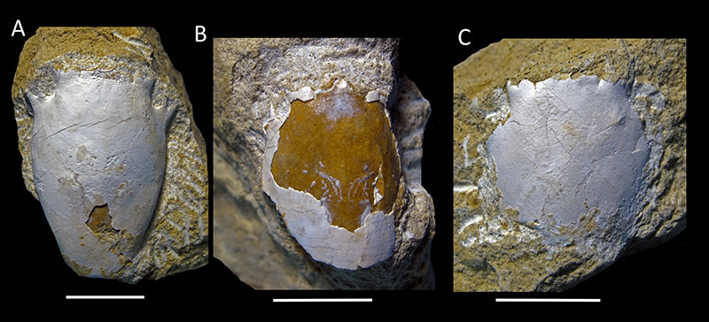 figure3