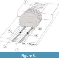 s figure3