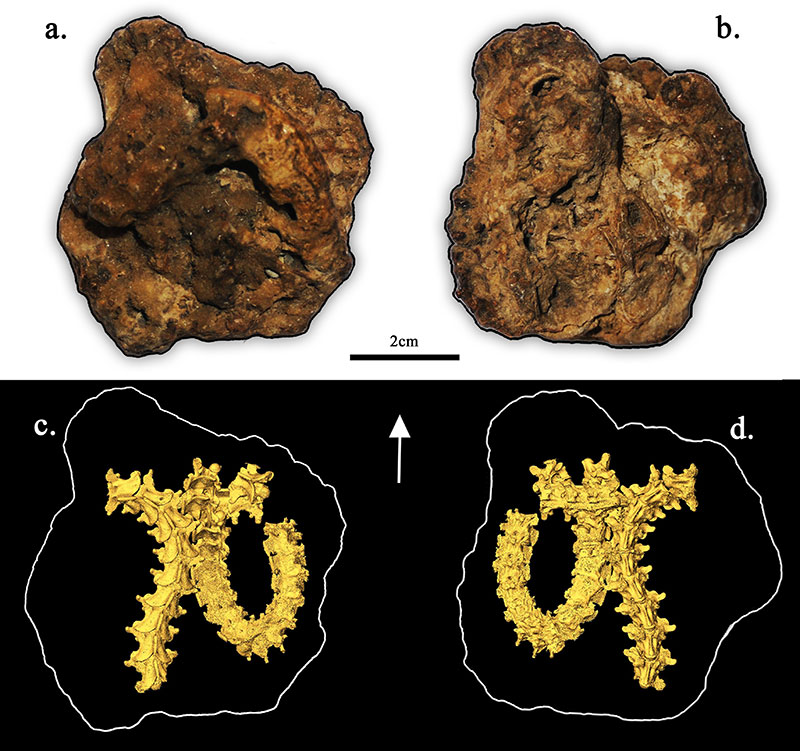 figure2