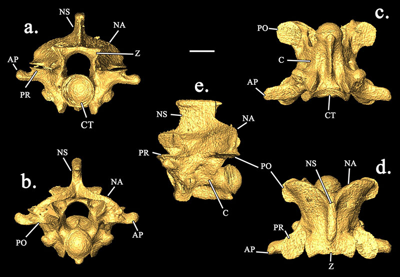 figure3a