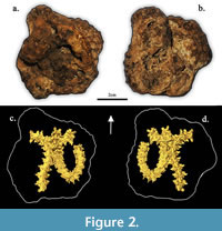 s figure2