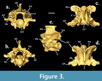 s figure3